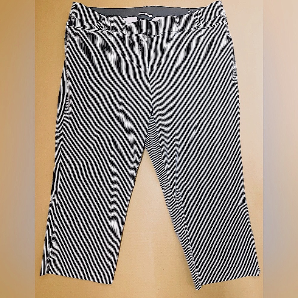 Lane Bryant The Allie Striped Pants